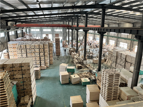 公司展示