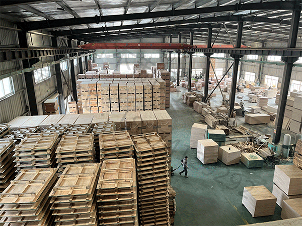 公司展示