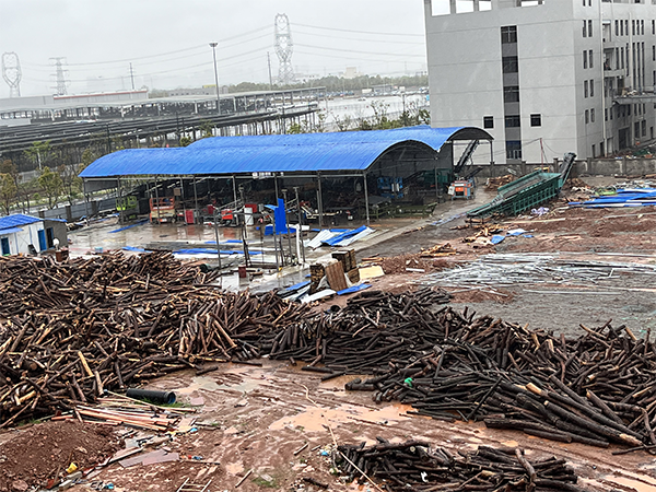 公司展示