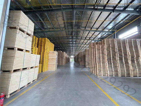 公司展示